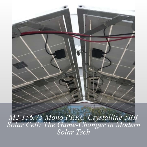 M2 156.75 Mono PERC-Crystalline 5BB Solar Cell: The Game-Changer in Modern Solar Tech